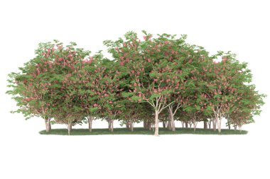 Realistic forest isolated on white background. 3d rendering - illustration