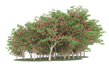 Realistic forest isolated on white background. 3d rendering - illustration