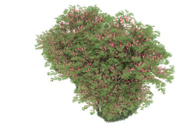 Realistic forest isolated on white background. 3d rendering - illustration