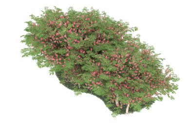 Realistic forest isolated on white background. 3d rendering - illustration