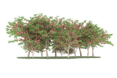 Realistic forest isolated on white background. 3d rendering - illustration