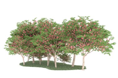Realistic forest isolated on white background. 3d rendering - illustration