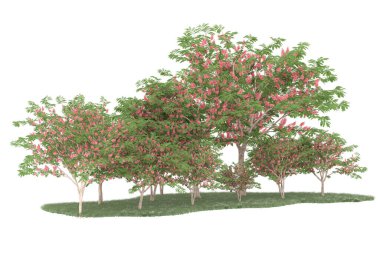 Realistic forest isolated on white background. 3d rendering - illustration