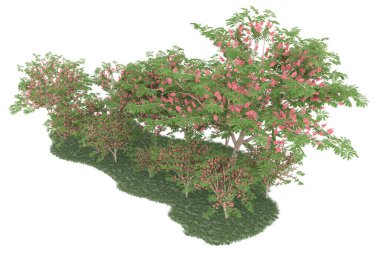 Realistic forest isolated on white background. 3d rendering - illustration