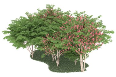 Realistic forest isolated on white background. 3d rendering - illustration