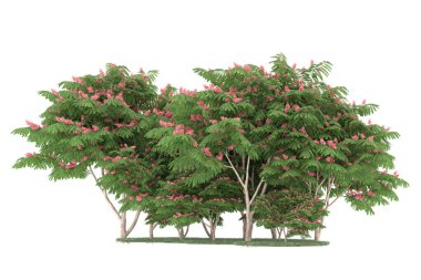 Realistic forest isolated on white background. 3d rendering - illustration