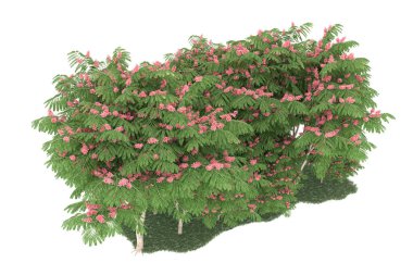 Realistic forest isolated on white background. 3d rendering - illustration