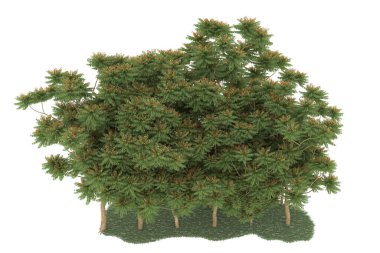 Realistic forest isolated on white background. 3d rendering - illustration