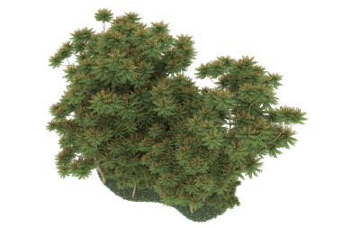 Realistic forest isolated on white background. 3d rendering - illustration