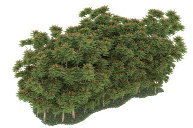 Realistic forest isolated on white background. 3d rendering - illustration