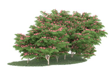 Realistic forest isolated on white background. 3d rendering - illustration