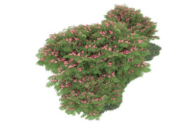 Realistic forest isolated on white background. 3d rendering - illustration