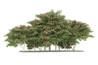 Realistic forest isolated on white background. 3d rendering - illustration