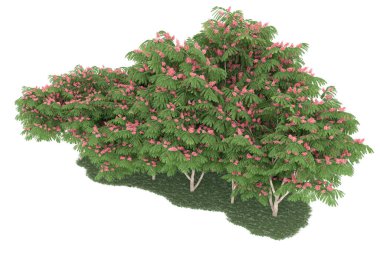 Realistic forest isolated on white background. 3d rendering - illustration