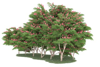 Realistic forest isolated on white background. 3d rendering - illustration