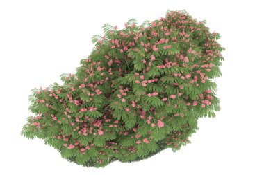 Realistic forest isolated on white background. 3d rendering - illustration