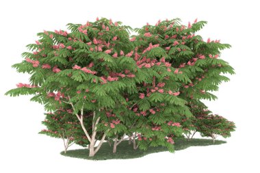 Realistic forest isolated on white background. 3d rendering - illustration