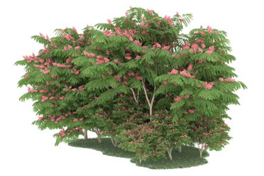 Realistic forest isolated on white background. 3d rendering - illustration