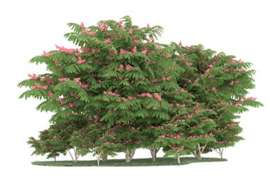 Realistic forest isolated on white background. 3d rendering - illustration