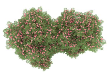 Realistic forest isolated on white background. 3d rendering - illustration