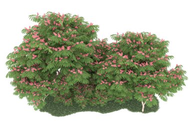 Realistic forest isolated on white background. 3d rendering - illustration