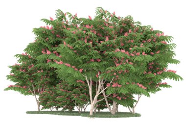 Realistic forest isolated on white background. 3d rendering - illustration