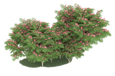 Realistic forest isolated on white background. 3d rendering - illustration