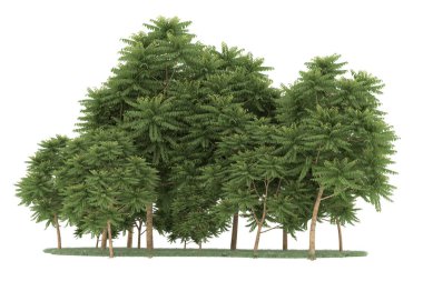 Realistic forest isolated on white background. 3d rendering - illustration