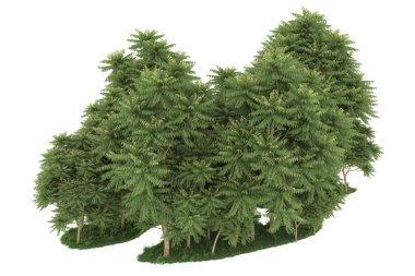 Realistic forest isolated on white background. 3d rendering - illustration