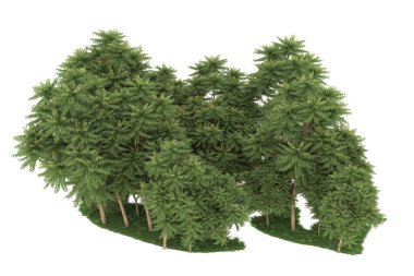 Realistic forest isolated on white background. 3d rendering - illustration