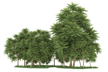 Realistic forest isolated on white background. 3d rendering - illustration