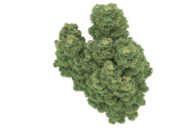 Realistic forest isolated on white background. 3d rendering - illustration