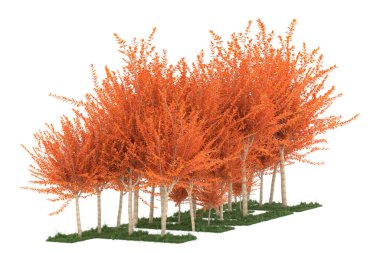 Realistic forest isolated on white background. 3d rendering - illustration