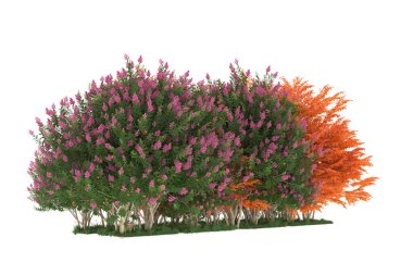 Realistic forest isolated on white background. 3d rendering - illustration