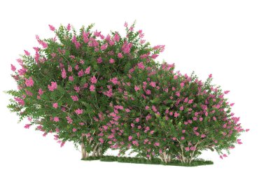 Realistic forest isolated on white background. 3d rendering - illustration