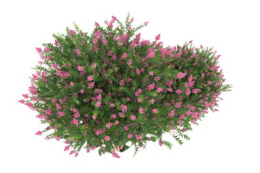 Realistic forest isolated on white background. 3d rendering - illustration