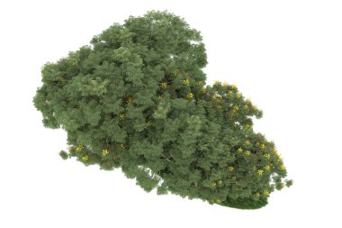 Realistic forest isolated on white background. 3d rendering - illustration