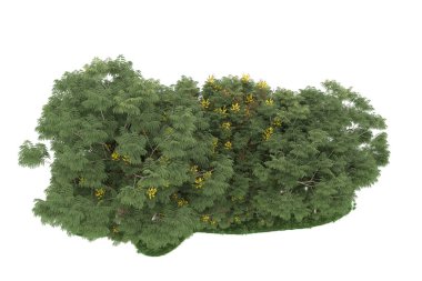 Realistic forest isolated on white background. 3d rendering - illustration