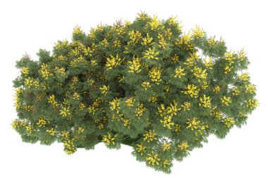 Realistic forest isolated on white background. 3d rendering - illustration