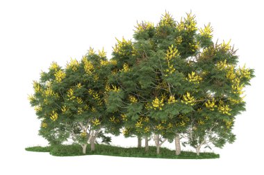 Realistic forest isolated on white background. 3d rendering - illustration