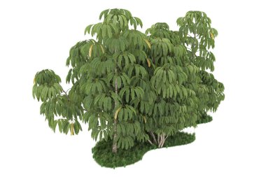 Realistic forest isolated on white background. 3d rendering - illustration