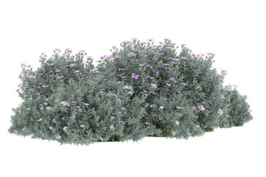 Realistic forest isolated on white background. 3d rendering - illustration