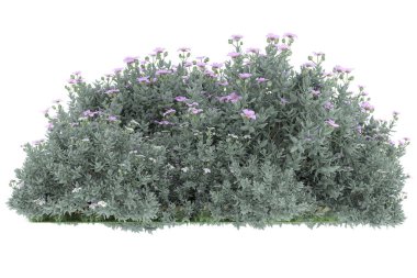 Realistic forest isolated on white background. 3d rendering - illustration