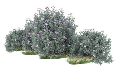 Realistic forest isolated on white background. 3d rendering - illustration