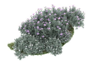 Realistic forest isolated on white background. 3d rendering - illustration