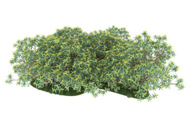Realistic forest isolated on white background. 3d rendering - illustration