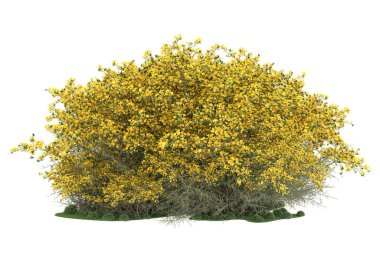 Realistic forest isolated on white background. 3d rendering - illustration