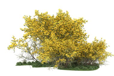 Realistic forest isolated on white background. 3d rendering - illustration