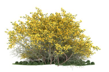 Realistic forest isolated on white background. 3d rendering - illustration