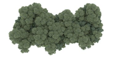 Realistic forest isolated on white background. 3d rendering - illustration